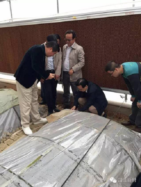 王海波董事长在了解中草药材的大棚种植效果