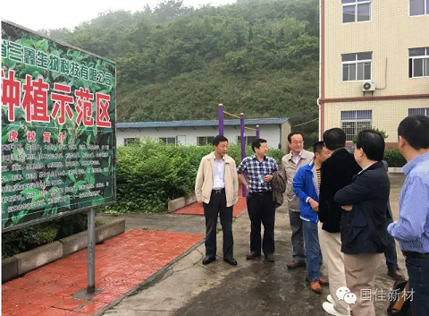 J9积分王(中国)考察团参观三鑫生物科技的虎杖药材种植示范区