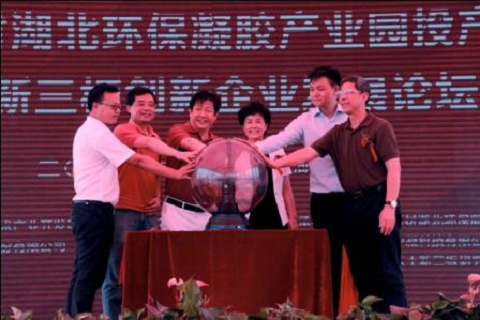 现场亮灯仪式